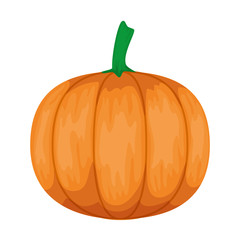 fresh pumpkin vegetable icon