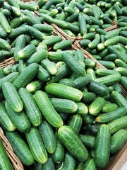 Cucumbers on showcase