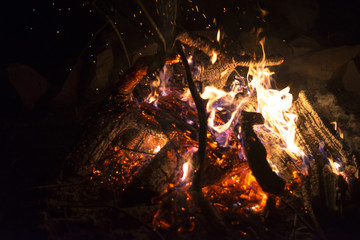 Burning branches of trees in the fire at night, close-up
