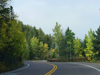 Picturesque snaking roads with the green trees starting to turn colorful in Colorado