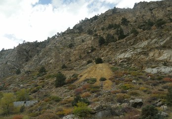 Obraz premium Tall rocky cliffs by the Colorado rockies roadside, with the leaves starting to turn colorful in the foreground.