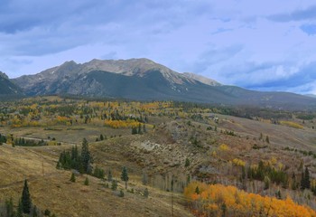 Fall colors with a view of the Colorado mountains  Colorado State,USA