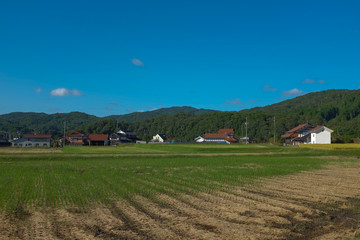 Fototapeta na wymiar The scenery of the countryside in the prefecture of Hiroshima prefecture.