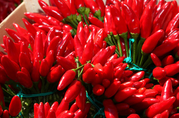 many red chilies very hot for sale