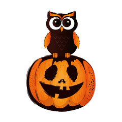 happy halloween owl with pumpkin