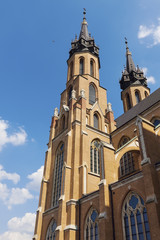 Fototapeta na wymiar Cathedral of the Protection of the Blessed Virgin Mary in Radom
