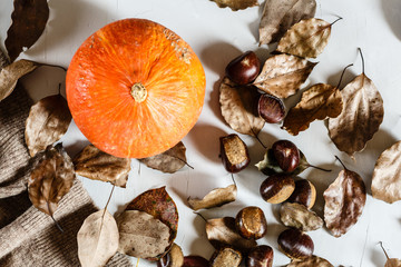 Autumn Thanksgiving Background. Flat lay. Pumpkin, chestnuts, knitted sweater lying on gray background