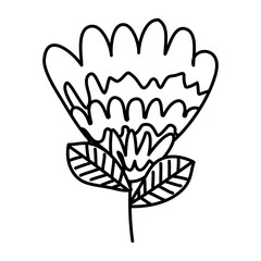 beautiful flower isolated icon