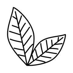 leaf plant ecology icon