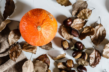 Autumn Thanksgiving Background. Flat lay. Pumpkin, chestnuts, knitted sweater lying on gray background