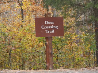 Signboard by the roadside in a state park for deer crossing trail