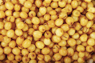 raw sea buckthorn as a background