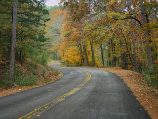 Winding road in a state park bordered by colorful trees in autumn