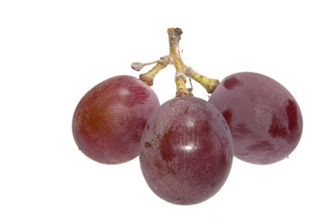 grapes isolated on white background