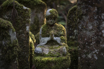 Nature and Meditation