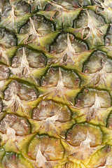 pineapple peel close-up