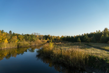 Fototapeta na wymiar Autumn landscape. River in the forest in autumn.