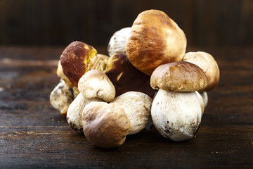 mushrooms boletus on a wooden background