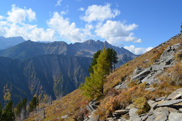 Fototapeta premium autumn mountains