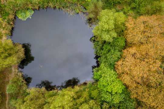 Top down view on water pond and autumn robe trees, Poland.