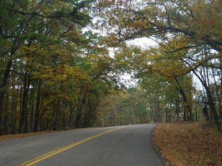 View at Beaver&rsquo;s Bend State Park with the leaves of the trees in full autumn colors