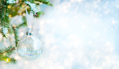 Christmas bauble on fir branches