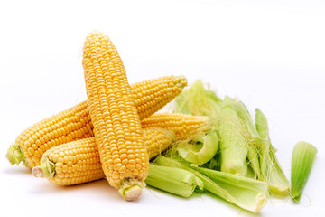 Corn cobs isolated on white background.