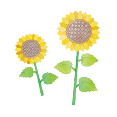 ひまわりのイラスト