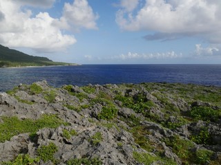 Sharp corals with green vegetation in the coastal area of a tropical island