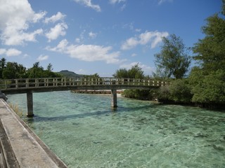 Concrete bridge over green clear waters of an abandoned waterpark on Rota, Northern Mariana Islands