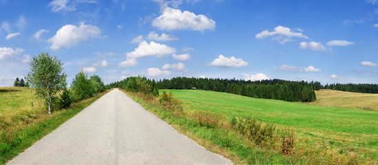 Road among green fields