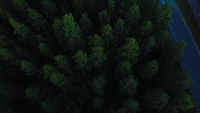 Drone shot of road surrounded by forest trees, Nurmes, Finland