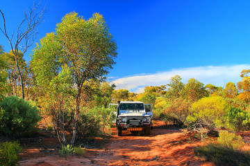 Fototapeta na wymiar Driving in the bush