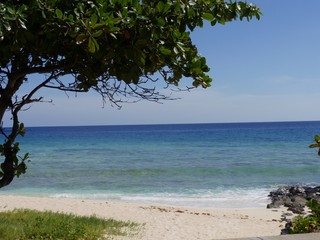 White sandy beaches and blue waters of the Caribbean Sea in Barbados 