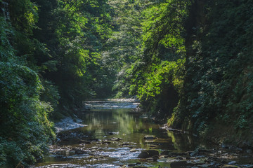 Obraz premium 夏の養老渓谷の弘文洞跡の風景