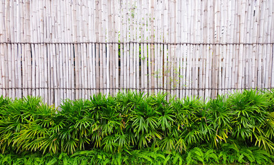 Close up of wall made of vintage bamboo fence