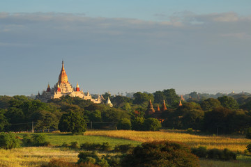 The land of thousand pagoda ancient, many ancient pagoda of bagan from shwesandaw temple in myanmar. The landmark tourism culture in Asian.