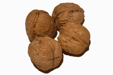 View of four walnuts on white background 