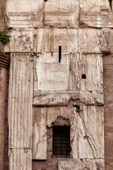 Fototapeta na wymiar View of the Pantheon Rome