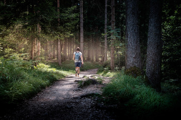 Frau macht einen Spaziergang im sommerlichen Wald