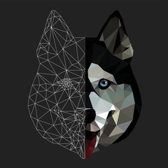 Low poly triangular and wireframe  husky dog face on grey background, symmetrical vector illustration isolated.  Polygonal style trendy modern logo design. Suitable for printing on a t-shirt. © Oomi