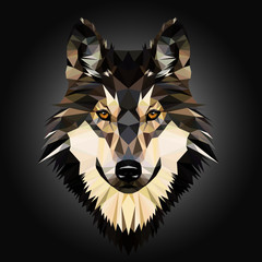 Low poly triangular dog wild wolf face on grey background, symmetrical vector illustration isolated. Polygonal style trendy modern logo design. Suitable for printing on a t-shirt.