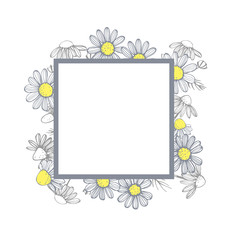  Vector frame with hand drawn chamomile flowers .