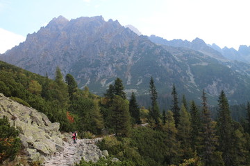 Fototapeta na wymiar Path to Popradske pleso lake, High Tatras, Slovakia