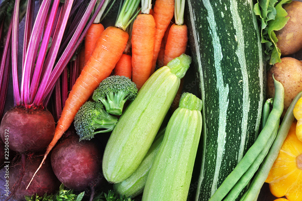 Wall mural crate of fresh harvested vegetables: carrot, beetroot, broccoli, zucchini, bean, potato