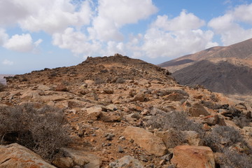 Fuerteventura 