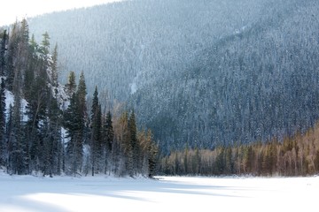 winter