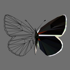 Butterfly polygonal low poly wireframe isolated on grey background,vector illustration. Insect with geometry triangle.Suitable for printing on a t-shirt.Abstract butterfly of dark colors.