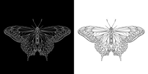 Butterfly abstract low poly wireframe isolated on black and white background, symmetrical vector illustration. Insect with geometry triangle. Polygonal style trendy abstract concept. 