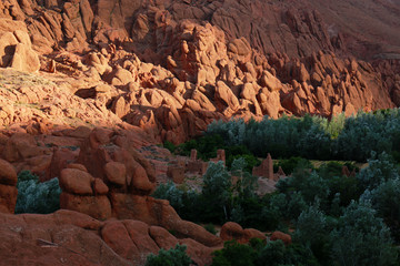 Monkey fingers in Dades